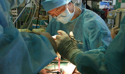 Strasbourg Live Tissue Course at IRCAD